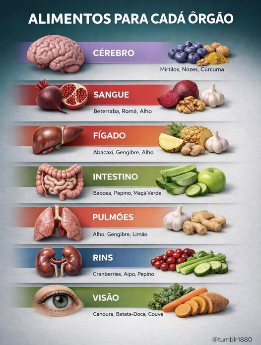 IMENTOS PATA ORGAOS DO CORPO.jpg